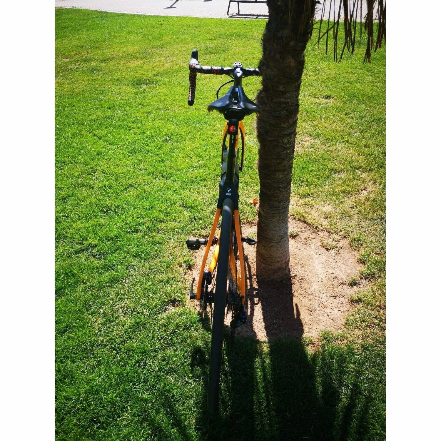 Vélo De Course Pinarello PRINCE DISK - 52 - 700c 6 Vélo De Course Pinarello PRINCE DISK - 52 - 700c – Image 4