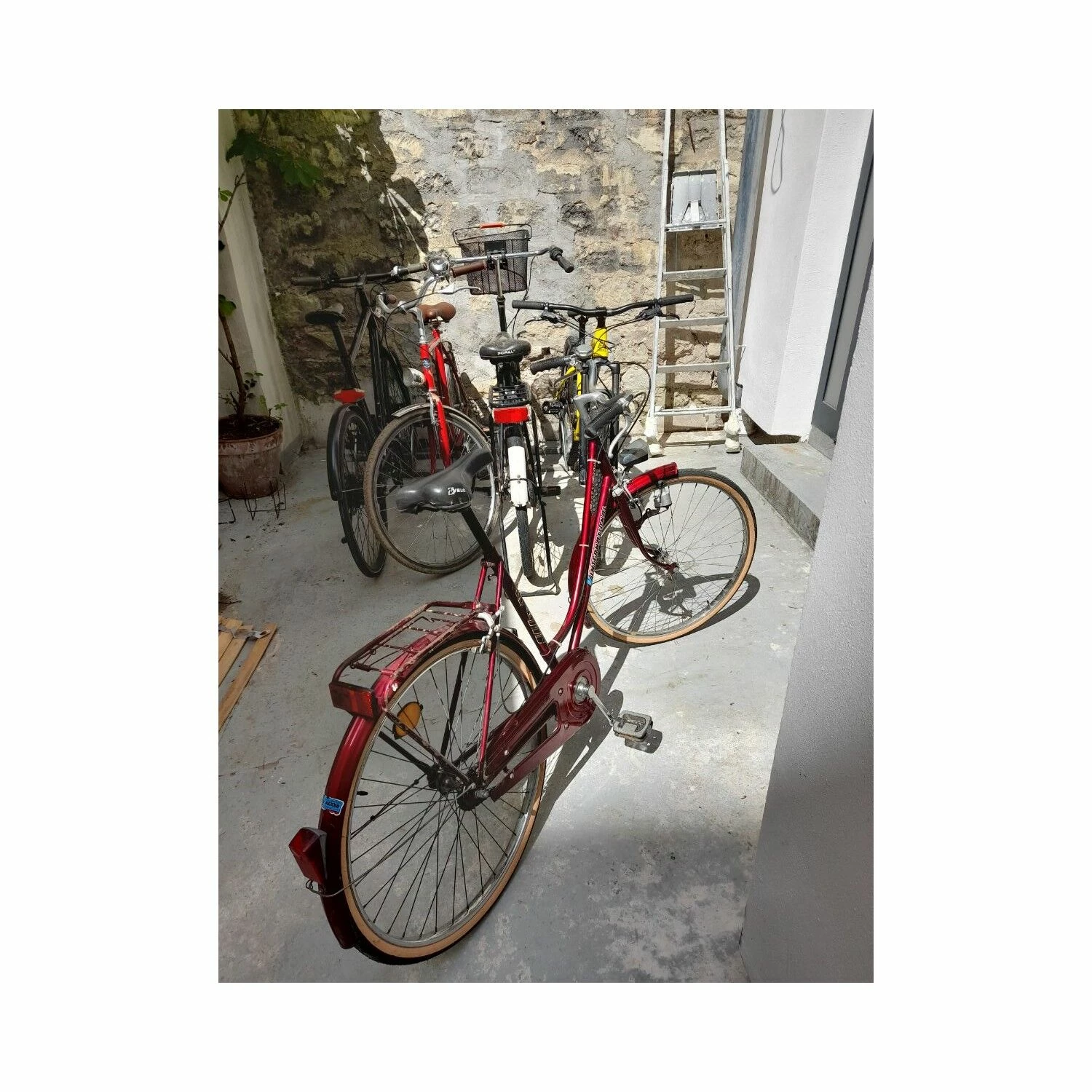 Vélo Hollandais Continental - M (53-55) 6 Vélo Hollandais Continental - M (53-55) – Image 4